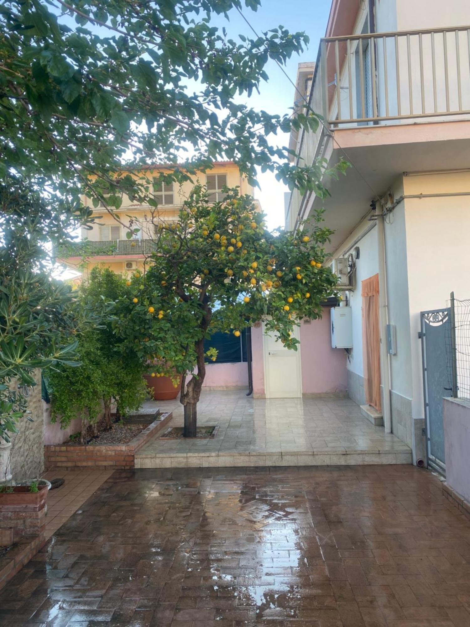 L'Albero Di Limoni Sul Mare Di Pizzo Villa Bagian luar foto