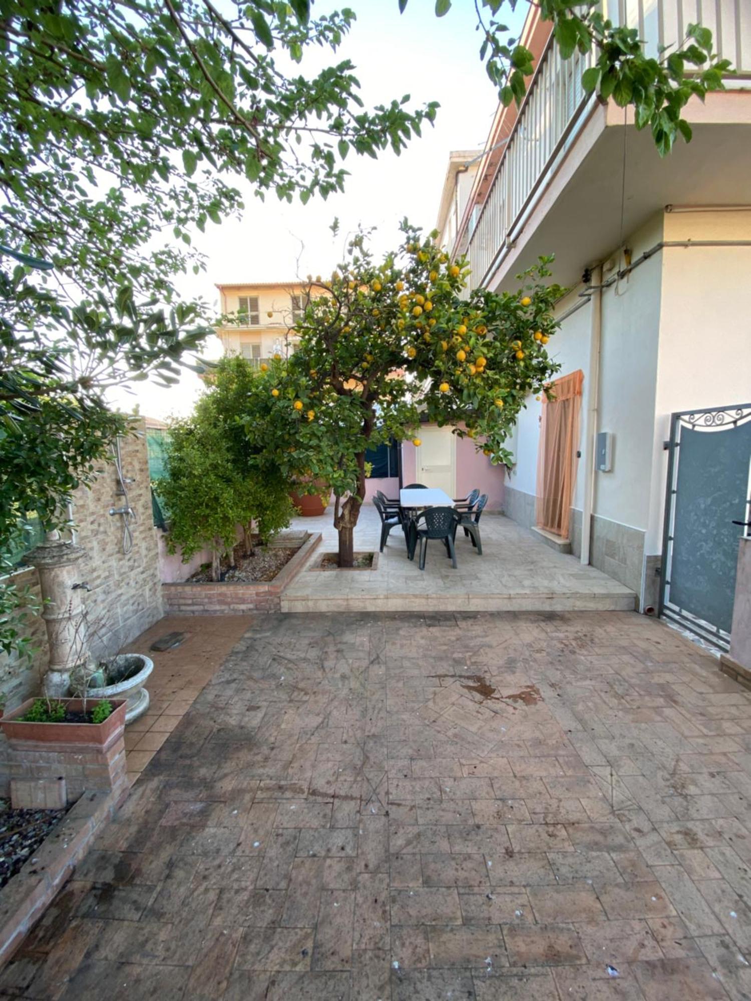 L'Albero Di Limoni Sul Mare Di Pizzo Villa Bagian luar foto